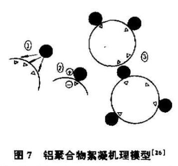 聚合铝与颗粒物的相互作用